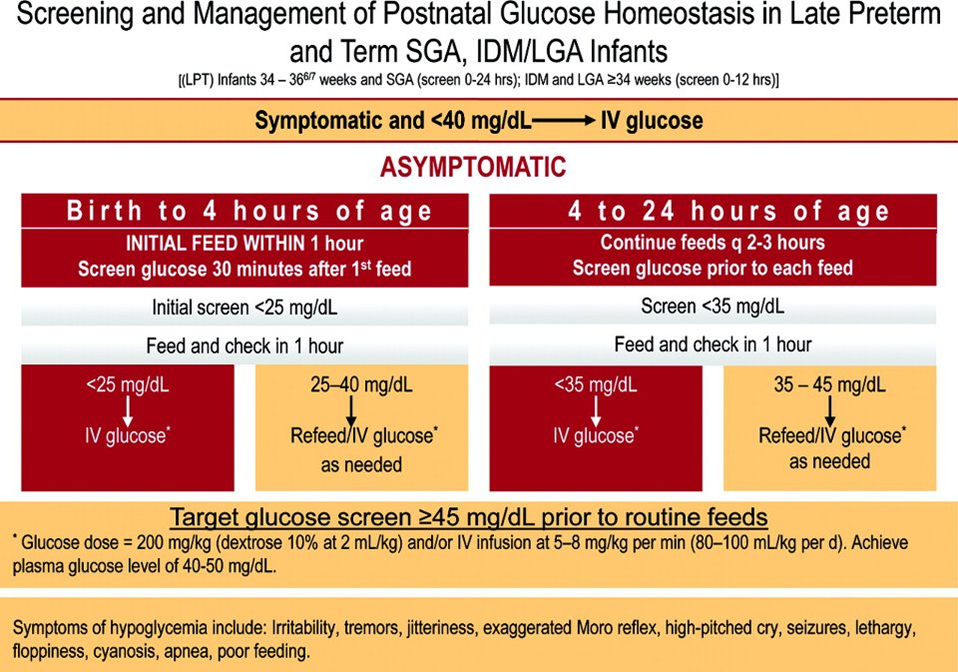 how-to-test-blood-sugar-levels-at-home